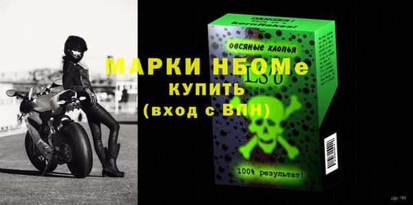 шишки Верея