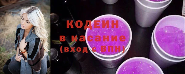 шишки Верея