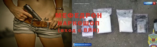шишки Верея