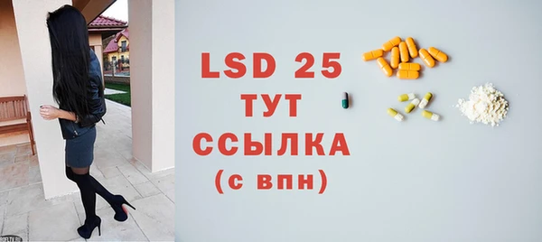 шишки Верея
