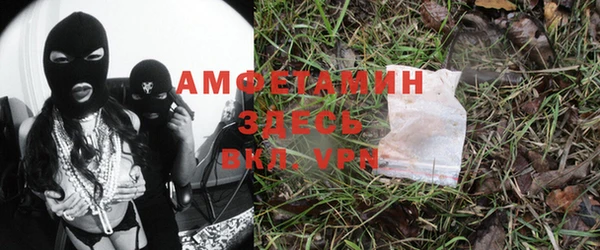 шишки Верея