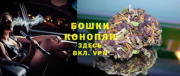 шишки Верея