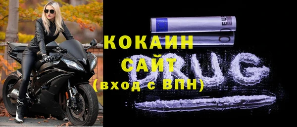 шишки Верея