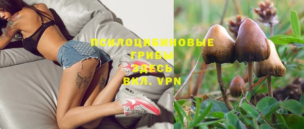 а пвп мука Верхний Тагил