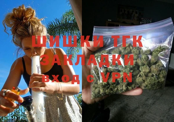 шишки Верея