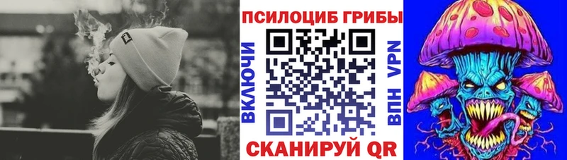 Галлюциногенные грибы GOLDEN TEACHER  Купить  Барыш 